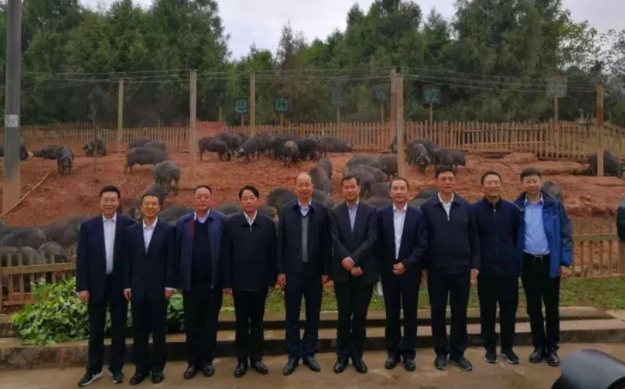 中國工商銀行黨委書記、董事長易會滿一行來巴山牧業調研
